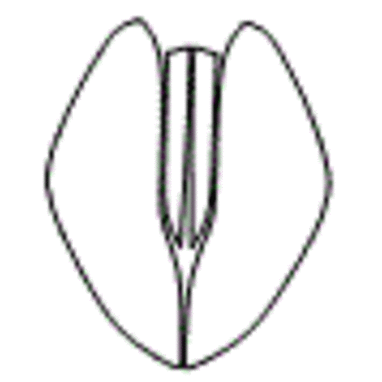 Tesla Model-3 Headlamp and Fog Lamp Kit - Image 2